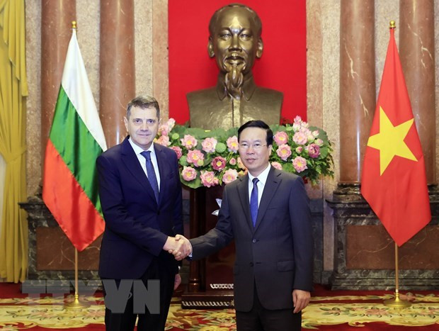 President receives newly accredited foreign ambassadors hinh anh 1