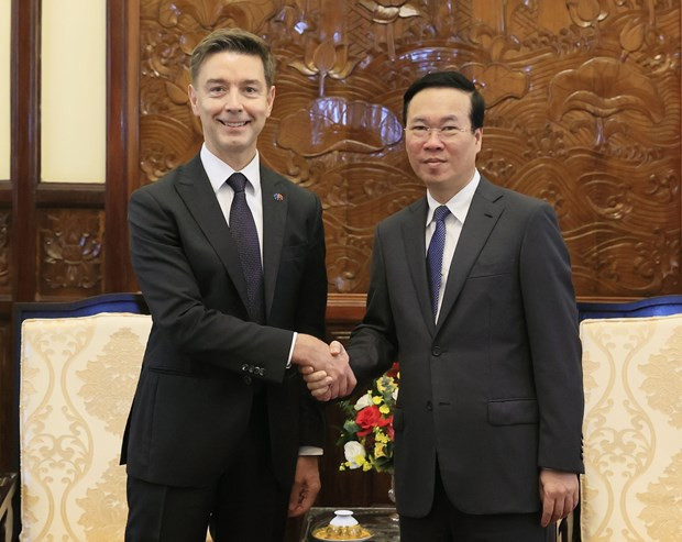 President receives newly accredited foreign ambassadors hinh anh 2
