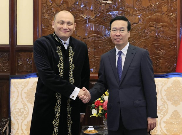 President receives newly accredited foreign ambassadors hinh anh 4