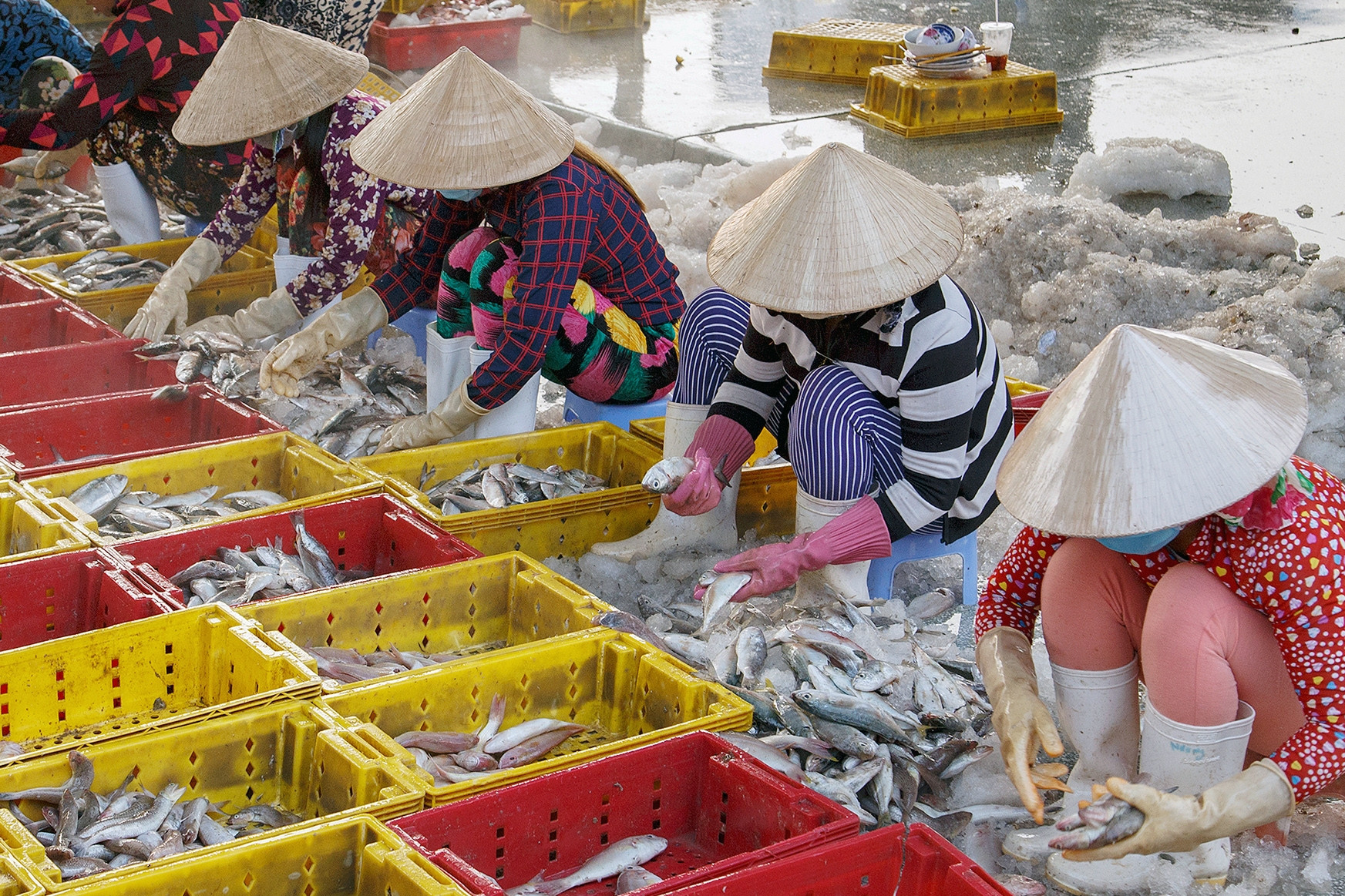 Cảng biển có đội tàu cá đông nhất cả nước