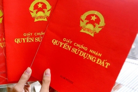 Khởi tố nguyên chủ tịch phường ở Đồng Nai liên quan vụ chiếm đoạt 53 thửa đất