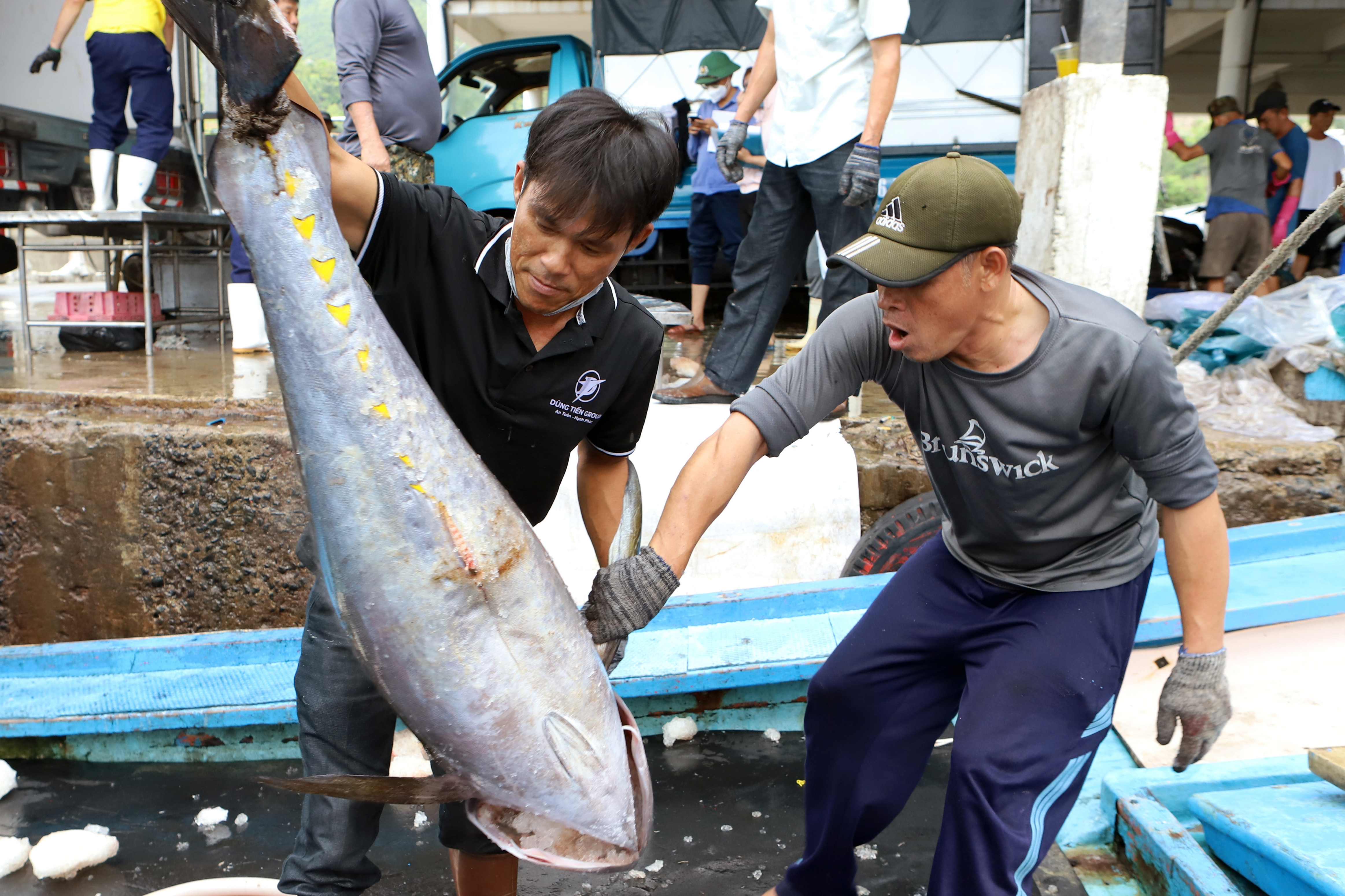 Ngư dân Khánh Hòa bám biển, nỗ lực tháo gỡ 'thẻ vàng' IUU