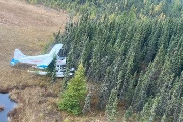 Phi công được giải cứu sau khi máy bay đâm vào cây