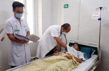 Hanoi reports dengue fever spike