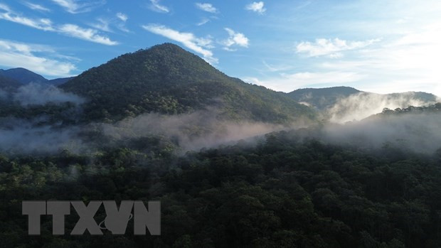 Eco-tourism development linked with biodiversity conservation under discussion hinh anh 1