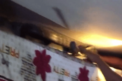 Người đàn ông tá hỏa phát hiện rắn hổ mang 'khủng' nằm dưới gầm giường