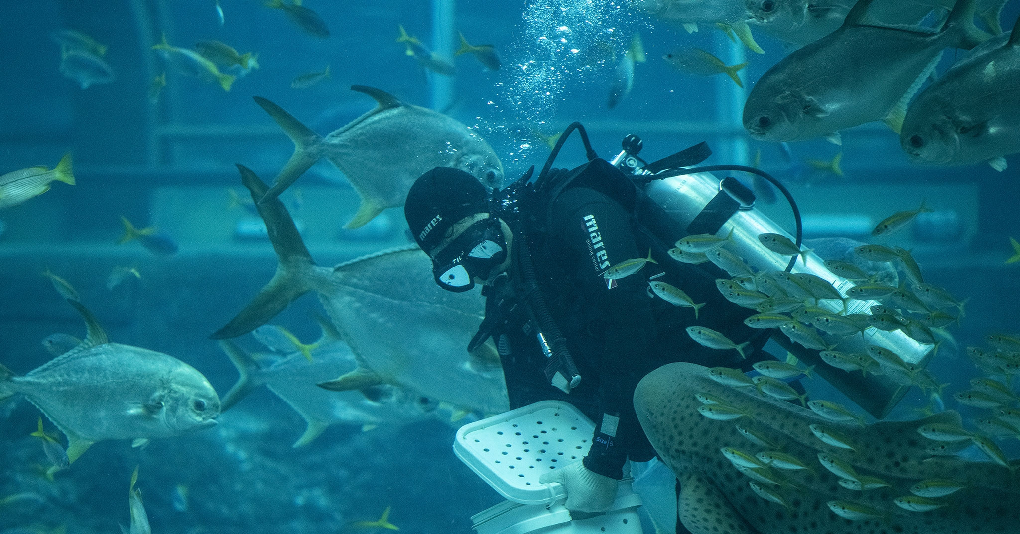 Phu Quoc Aquarium hosts 255,000 aquatic creatures