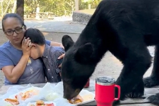 Video con gấu đói lao vào tiệc sinh nhật, người mẹ nhanh trí cứu mạng con trai