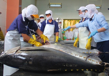 Vietnamese tuna exports to RoK post 2.5-fold increase