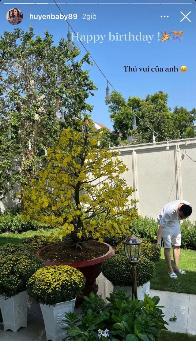 Vườn cây trong biệt thự 100 tỷ của Huyền Baby: Chồng chăm cây từ A - Z, vợ chỉ việc thả dáng sống ảo - Ảnh 3.