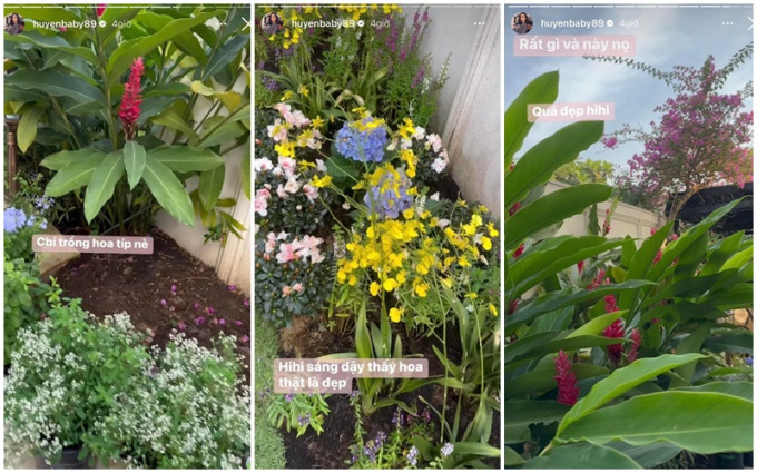 Vườn cây trong biệt thự 100 tỷ của Huyền Baby: Chồng chăm cây từ A - Z, vợ chỉ việc thả dáng sống ảo - Ảnh 4.