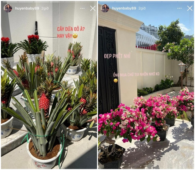 Vườn cây trong biệt thự 100 tỷ của Huyền Baby: Chồng chăm cây từ A - Z, vợ chỉ việc thả dáng sống ảo - Ảnh 5.