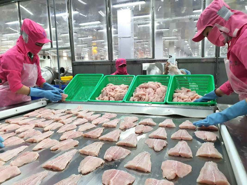 U.S. scrutinizes safety of Vietnam's tra fish exports
