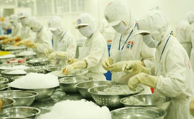 Northern Europe a promising market for Vietnamese farm produce: Experts hinh anh 1