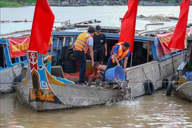 Can Tho releases more than 1 million fish fry to nature hinh anh 1