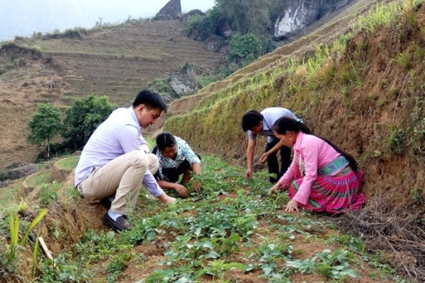 Lào Cai biến tiềm năng Đông y thành thế mạnh