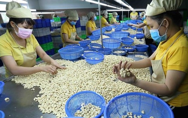 New records set in agricultural product export revenue hinh anh 1