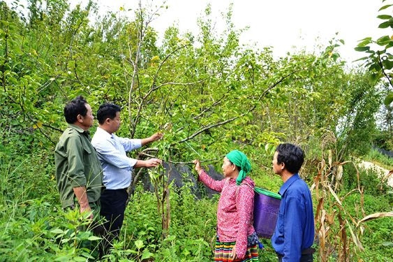 Vùng dân tộc Mông huyện Bát Xát, Mường Khương đang đổi thay từng ngày