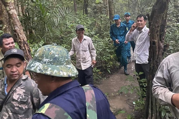 Tìm kiếm người dân nghi đi lạc trong Vườn quốc gia Cát Tiên
