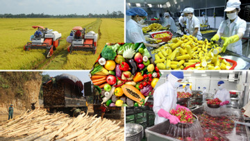 EVFTA boots VN agricultural product exports to EU market