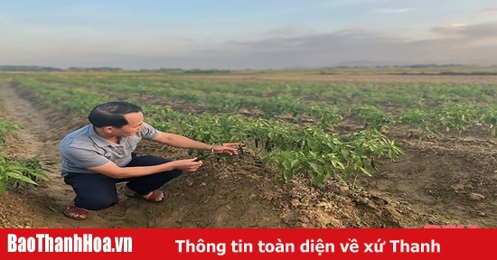 Để thương mại điện tử đến gần với nông thôn