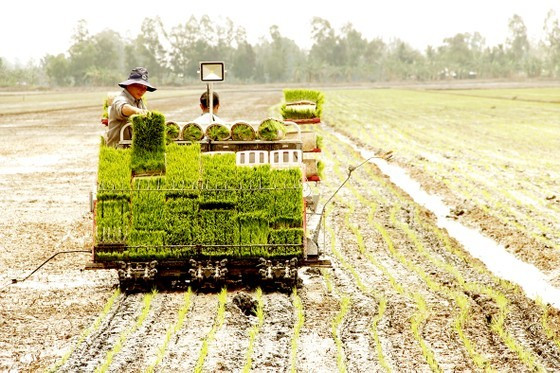 Mekong Delta carefully coping with El Nino