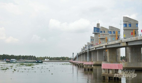 Mekong Delta carefully coping with El Nino ảnh 2