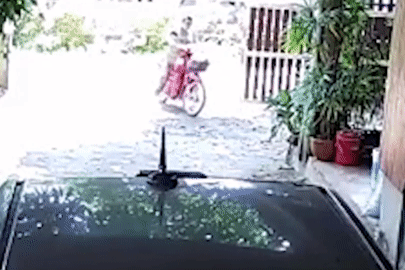 Rắn hổ mang điên cuồng lao ra tấn công, rượt đuổi người đàn ông đi xe máy