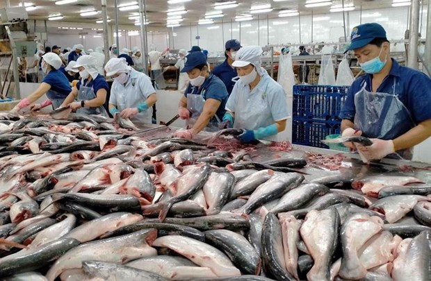 US assesses safety of Vietnam's tra fish exports hinh anh 1