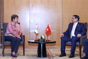 Vietnamese PM meets with IMF Managing Director in Indonesia