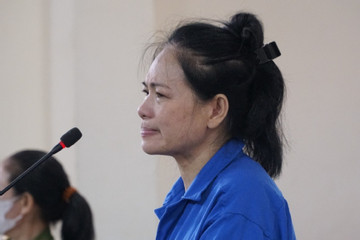 Vợ nguyên giám đốc sở ở Bà Rịa - Vũng Tàu lĩnh 17 năm tù vì lừa đảo