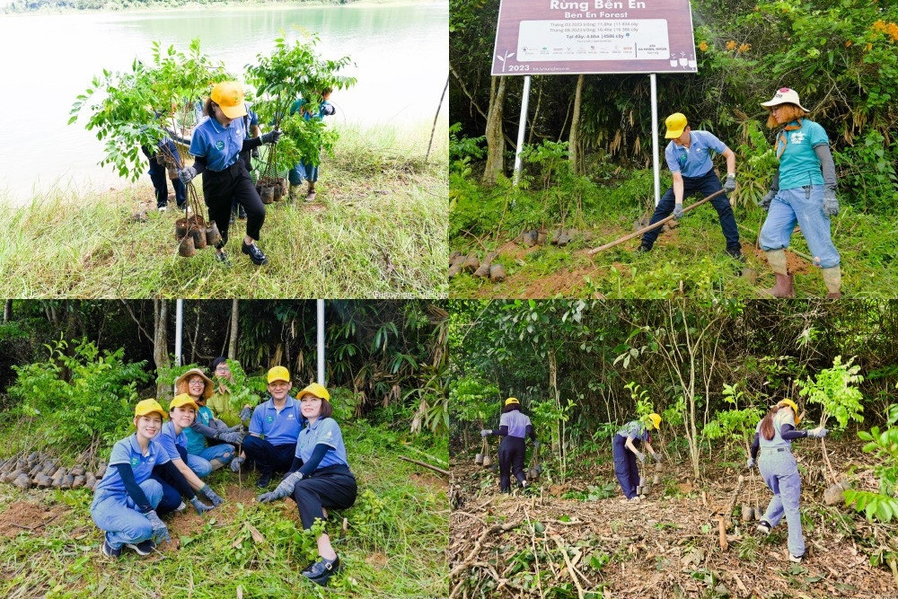 Cathay Life góp sức trồng hơn 3.500 cây tại Vườn quốc gia Thanh Hóa