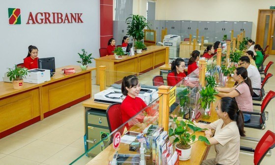Banks join in promoting green credit hinh anh 1