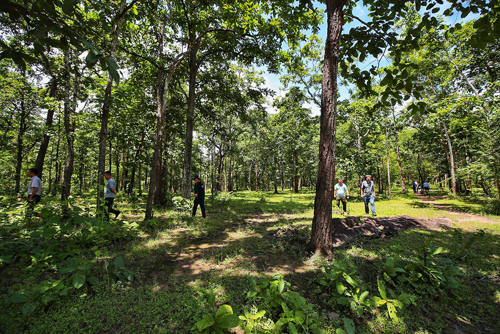 Chi tiết hiện trạng rừng ở dự án hồ chứa nước Ka Pét