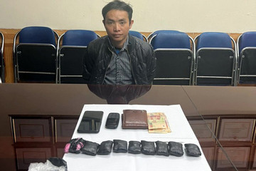 Đề nghị truy tố đối tượng mua 17 gói ma túy mang về Hà Nội tiêu thụ