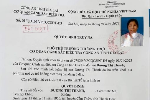 Cụ bà lừa đảo gần 14 tỷ đồng tử vong trước ngày ra tòa
