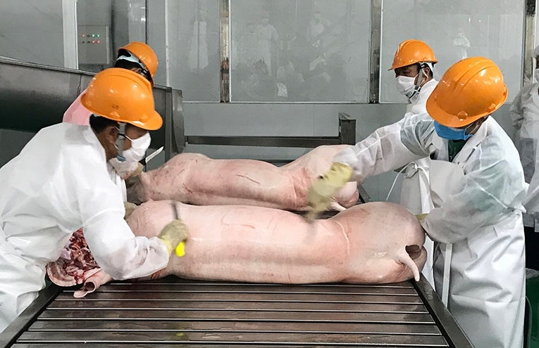 Giá thịt lợn quay đầu giảm, hàng nhập khẩu tăng mạnh, dân lại 'treo' chuồng