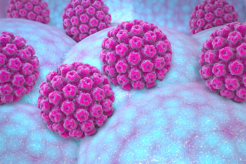 Nhiễm virus HPV bao nhiêu lâu sẽ gây ung thư?