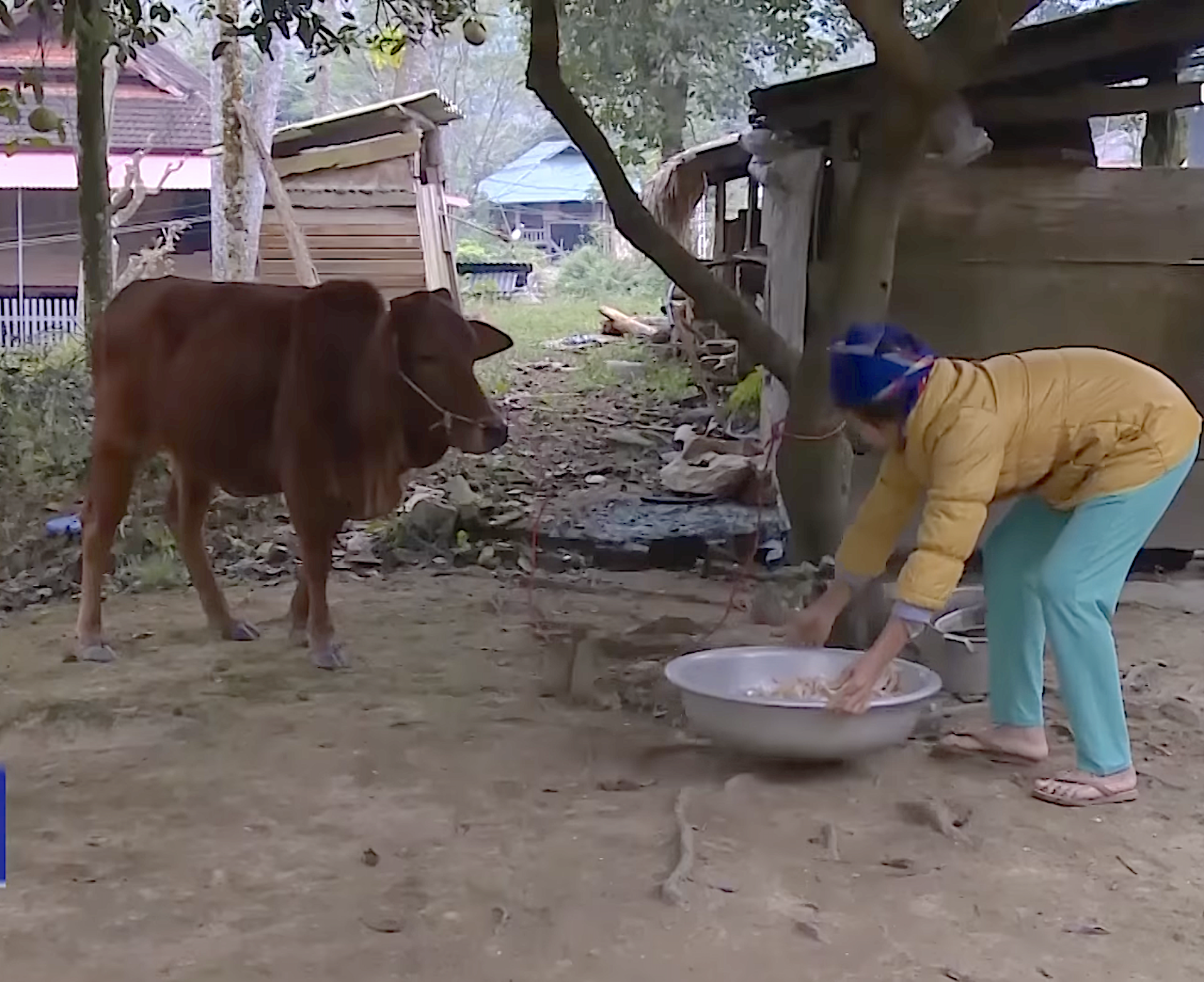 Huyện Thường Xuân (Thanh Hoá) xây dựng kế hoạch chi tiết để đảm bảo triển khai đúng tiến độ, mục tiêu, đối tượng