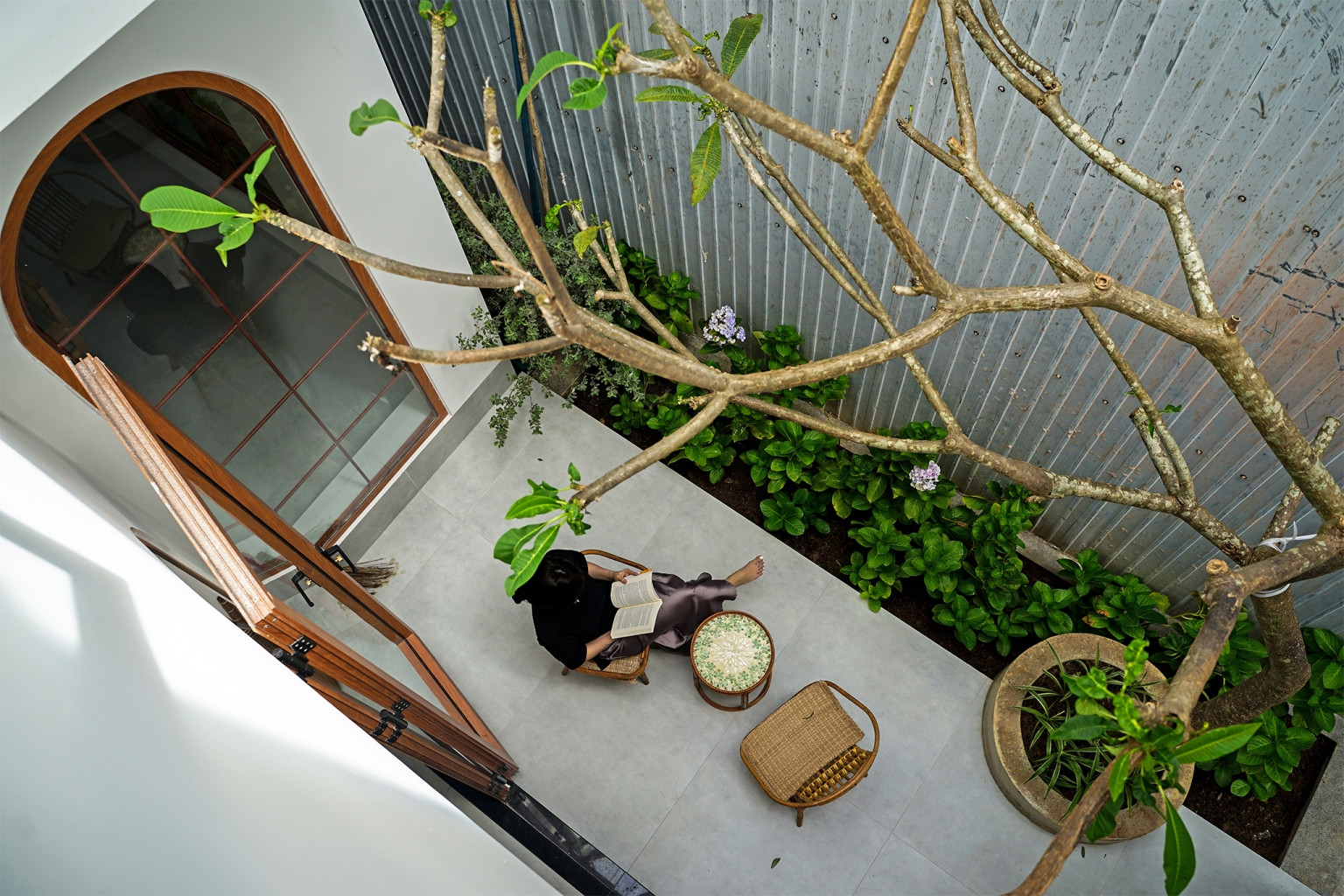 Một cây sứ được trồng tạo bóng mát, hệ cửa cách điệu với hình dáng mái bo tròn khiến không gian mềm mại…