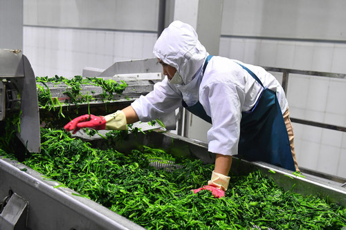 Xuất khẩu 26 tỷ USD, Việt Nam là trung tâm chế biến sâu của nông nghiệp thế giới