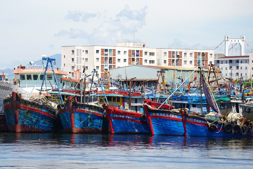 Hà Tĩnh: Thực hiện đồng bộ các giải pháp chống khai thác IUU