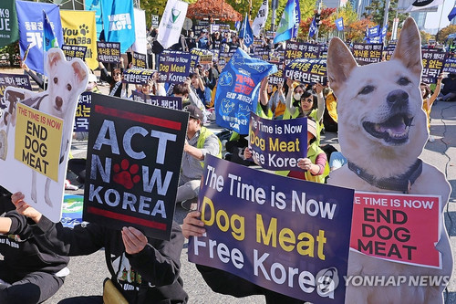 Người dân Hàn Quốc phản ứng thế nào về luật cấm thịt chó?