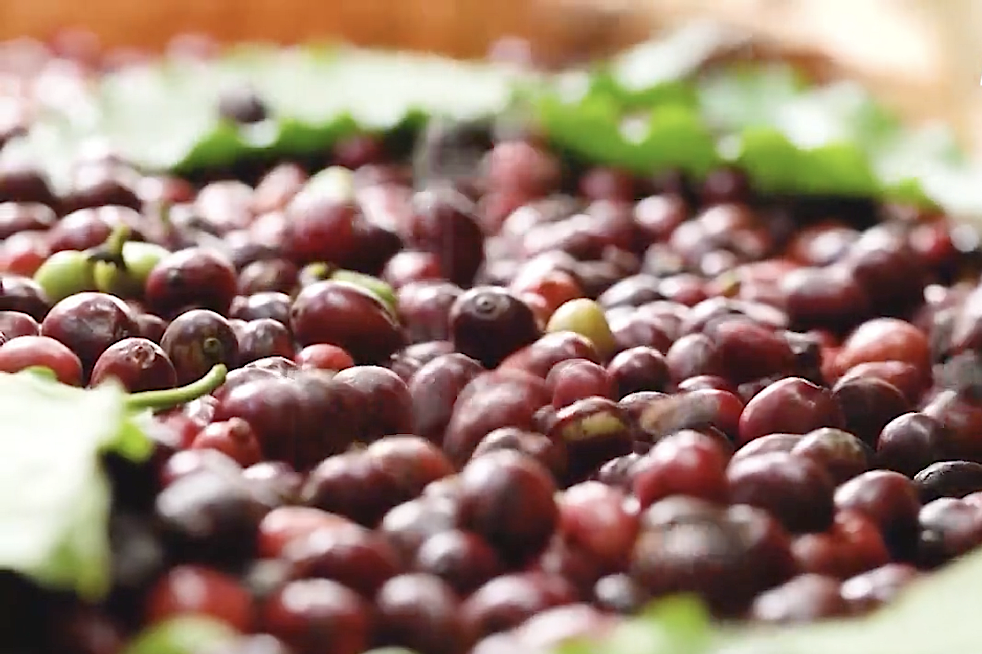 UKVFTA đã mang lại những lợi ích đáng kể cho doanh nghiệp Anh tại Việt Nam