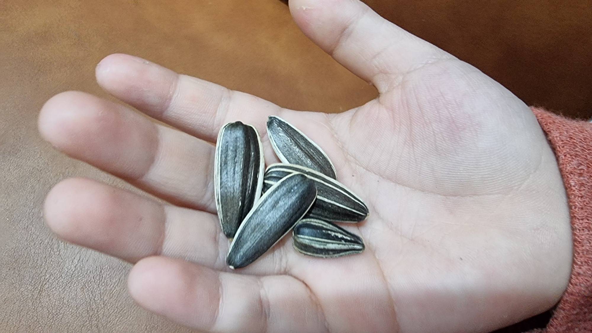 Nhiều trẻ nhỏ hóc dị vật đường thở, chuyên gia hướng dẫn cách sơ cứu