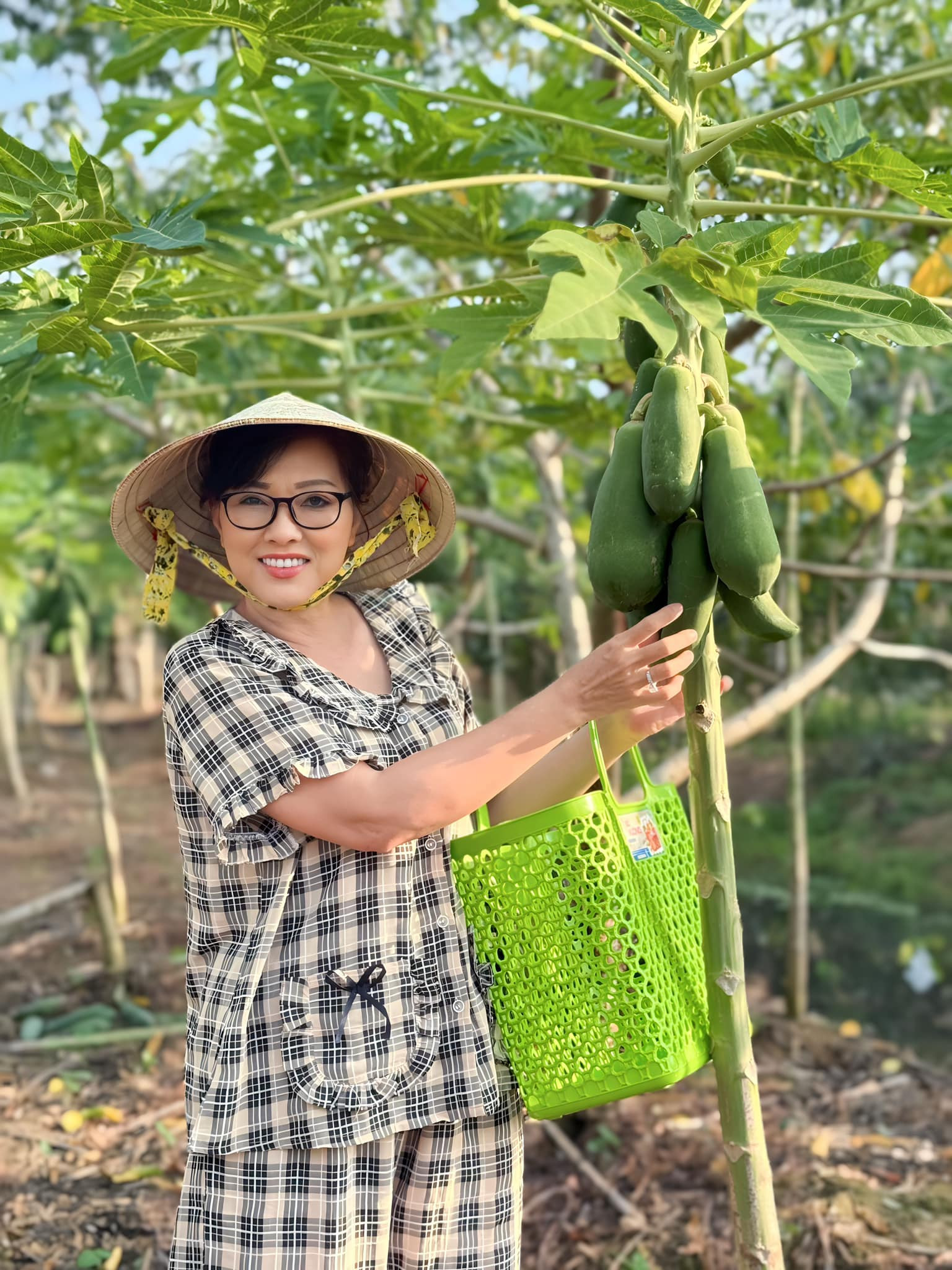 419241051 24978981765079343 4251608960885437410 n.jpg