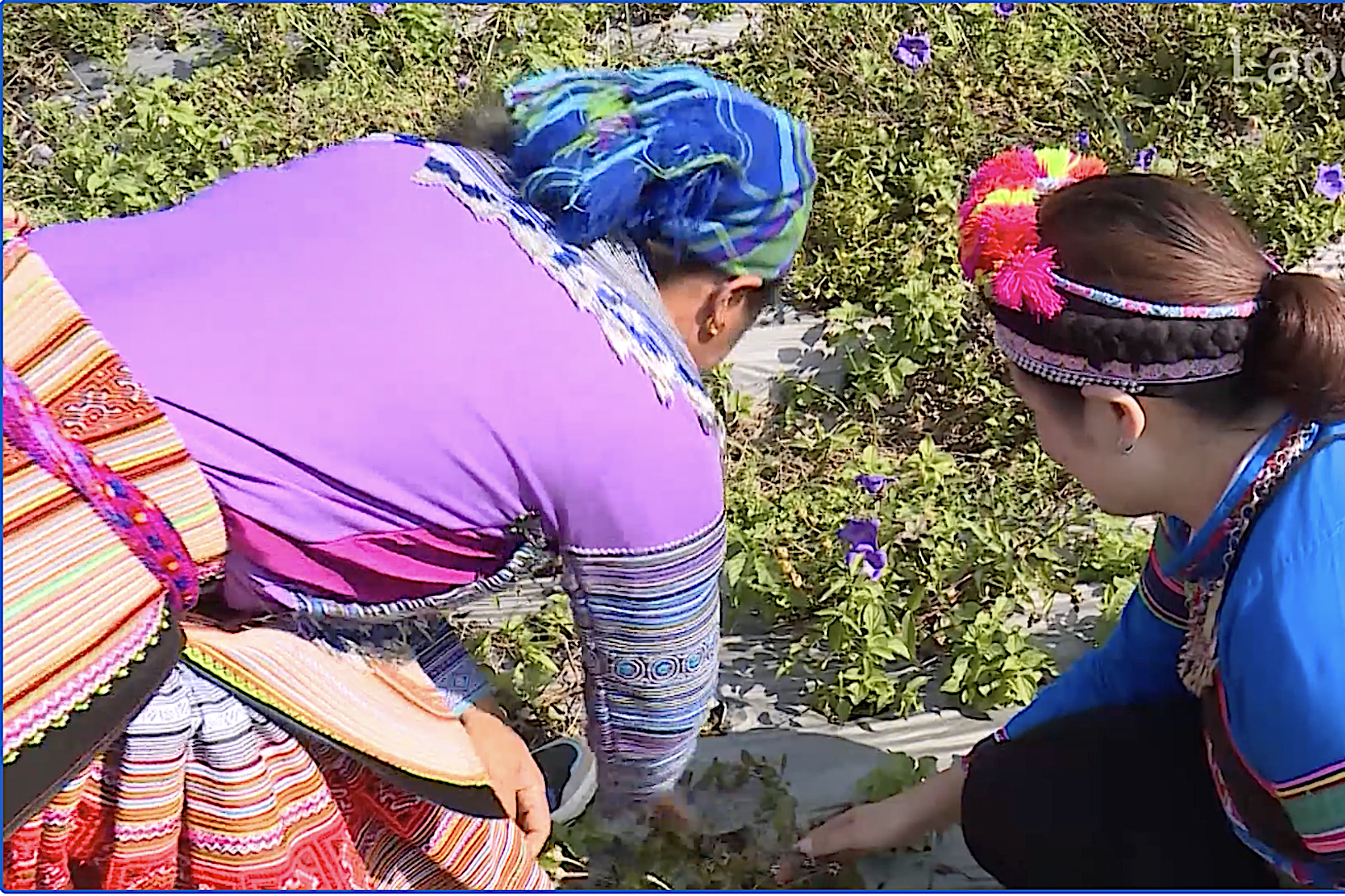 An toàn đối với phụ nữ và trẻ em gái ở nơi công cộng