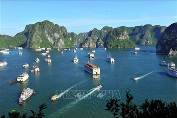 Ha Long Bay, Sa Pa selected as trending destinations in 2024 by TripAdvisor