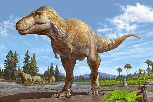 Phát hiện ra loài khủng long bạo chúa mới, sống trước T-rex hàng triệu năm