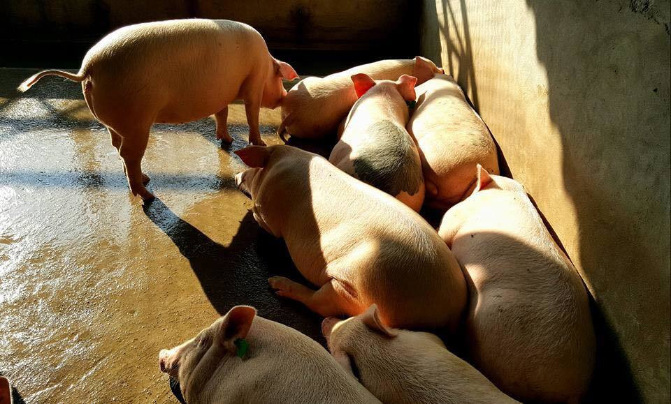 quyen loi nguoi tieu dung t4a.jpg